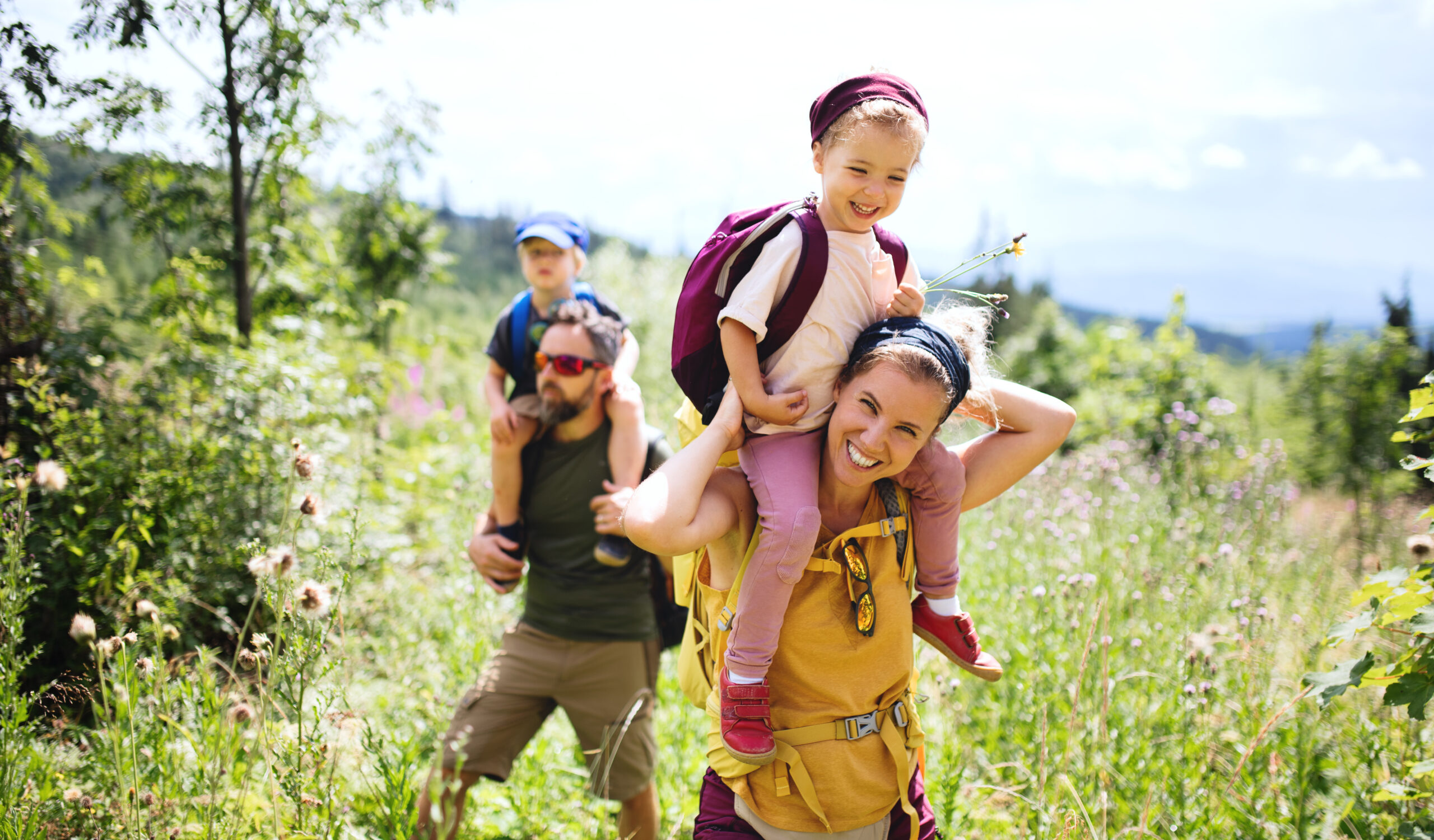 Immigration Psychological and Clinical Evaluations In Washington and Utah
